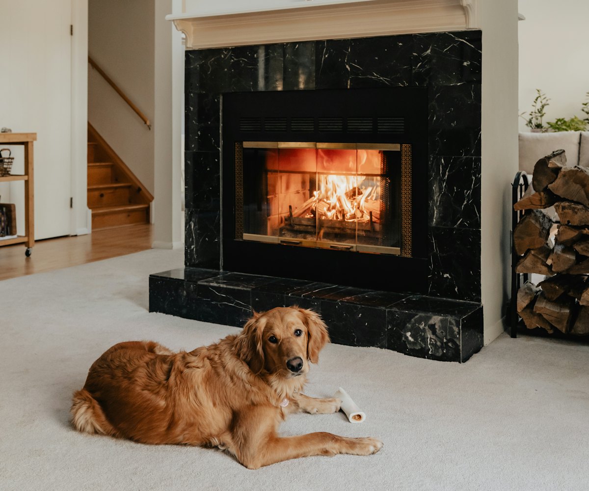 Living room with a fireplace